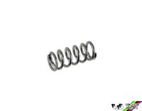 Campagnolo 7260094 Limit Screw Springs